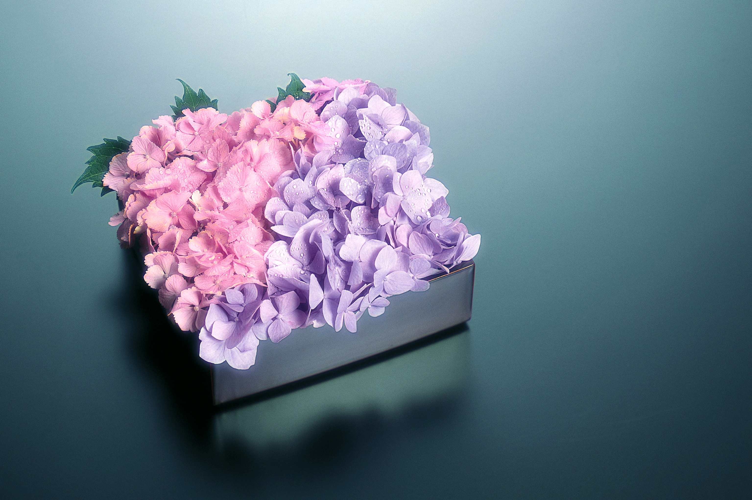 Фиолетовый 1 1 20 август 2021. Красивые стильные цветы. Цветы в коробке.