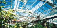 «Агростекло» — стекло для тепличных хозяйств фото