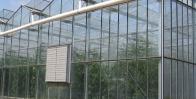 «Агростекло» — стекло для тепличных хозяйств фото